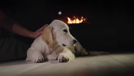 el dueño de la mascota y el lindo cachorro de golden retriever descansando cerca de una chimenea en llamas