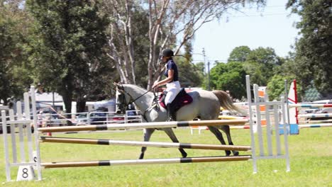 horse and rider navigating a show jumping course