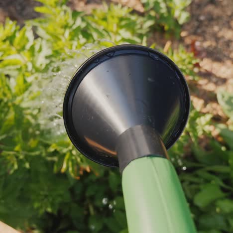 to water the flower with a watering can