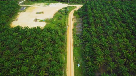 Cinematic-Drone-Footage-of-Onshore-Drilling-Rig-equipment-structure-for-oil-exploration-and-exploitation-in-the-middle-of-jungle-surrounded-by-palm-oil-trees-during-sunset-and-high-oil-price