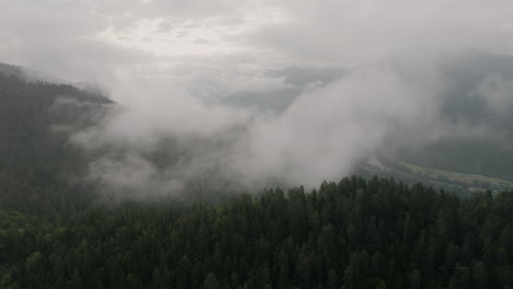 rolling clouds over coniferous forest mountains at borjomi nature reserve in georgia