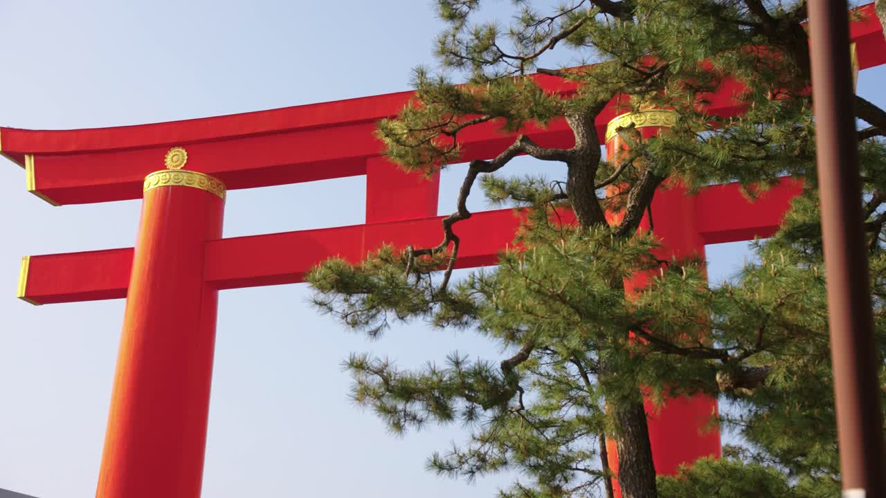 Heian Jingu Shrine, Huge Torii Gate with Japanese Pine in Kyoto