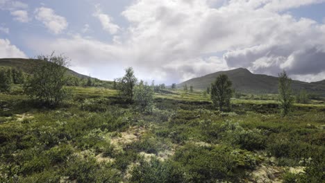 Regen-über-Der-Arktischen-Tundra.-Wunderschöne-Natur-Norwegen.