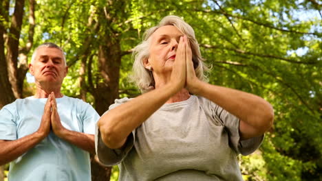 Rentnerpaar-Macht-Yoga-Im-Freien