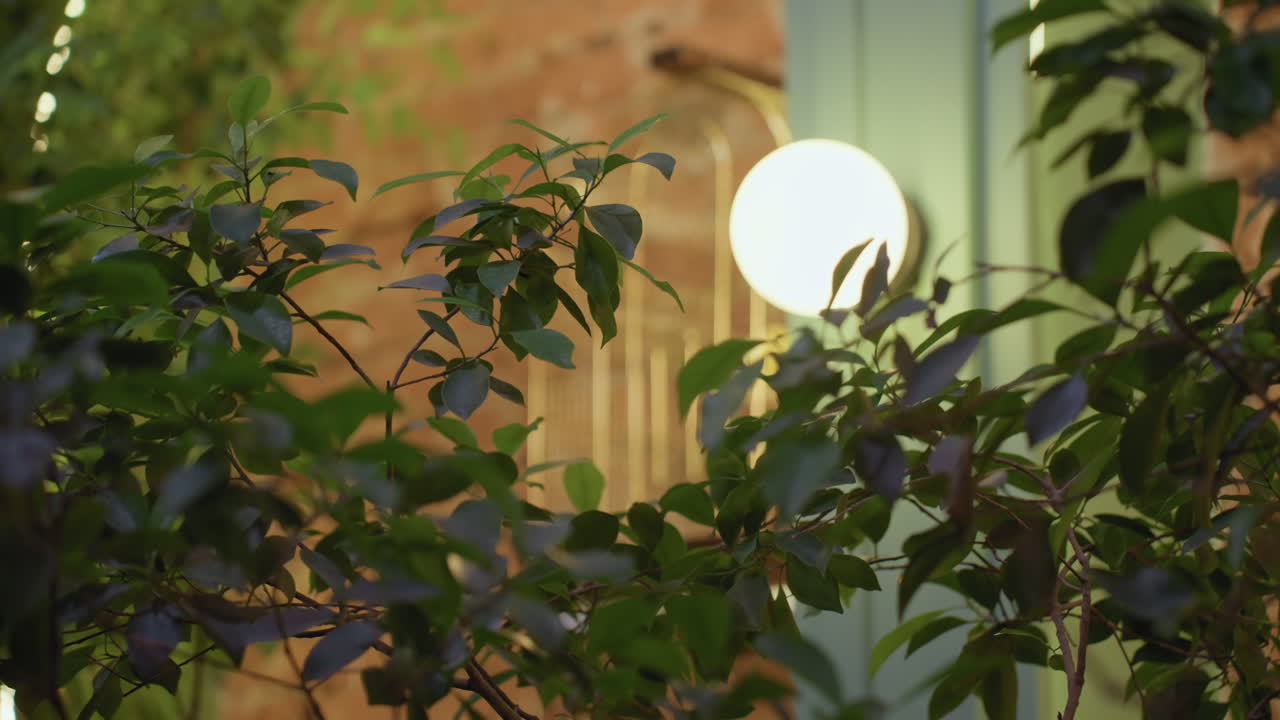 Green leafy indoor plant fills foreground with warm glowing wall light and decorative golden birdcage visible in soft-focus background against exposed brick wall and vertical panel