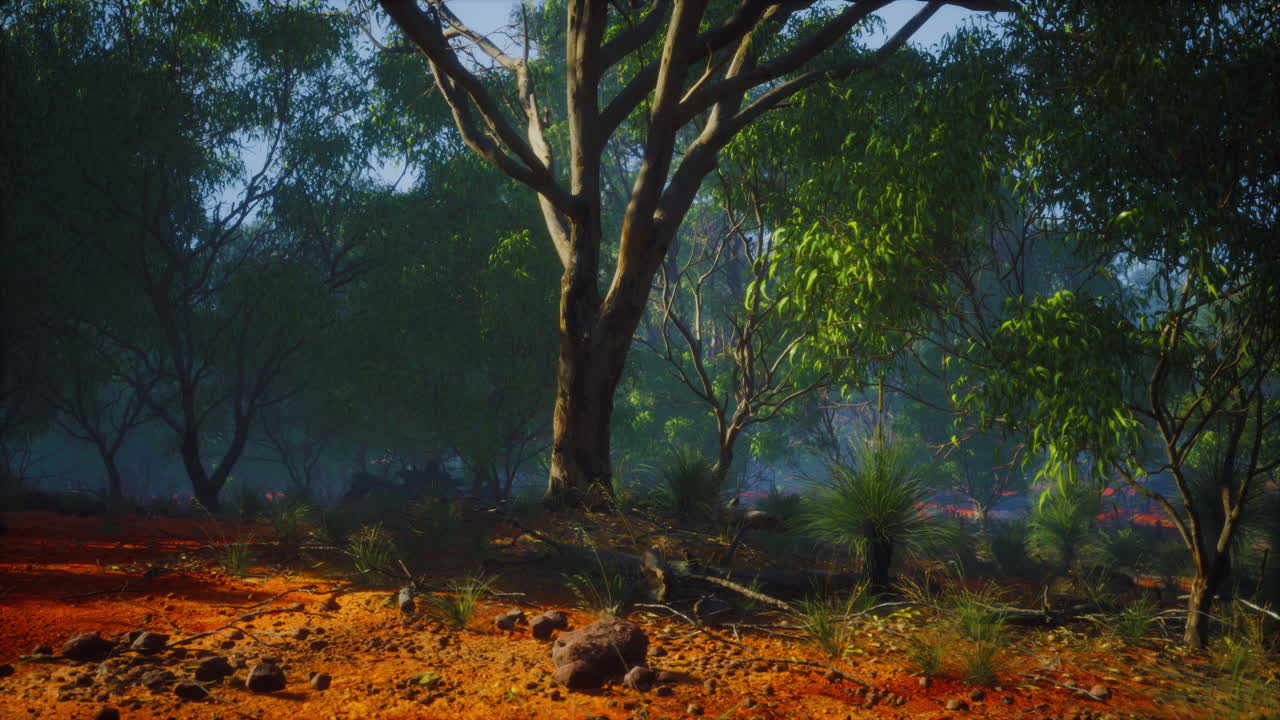 región de kimberley en australia occidental