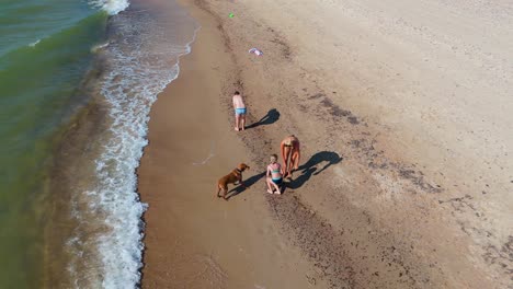 aerial footage of woman in bikini playing with vizsla dog on baltic sea shoreline joyful summer scene on a sunny day captured by drone on scenic latvian coast