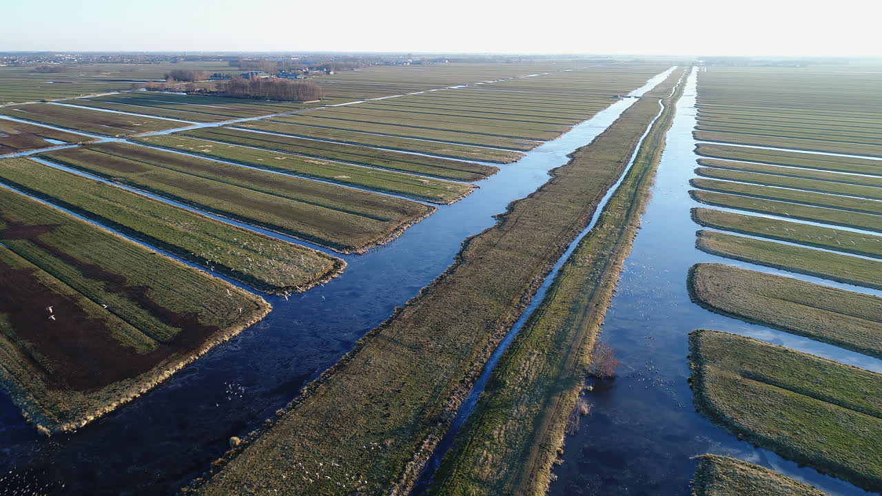 stolwijk en krimpenerwaard, países bajos - paisaje agrícola con bandadas de pájaros volando sobre zanjas congeladas en invierno