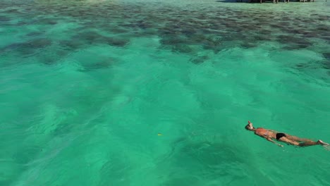 Young-woman-is-swimming-and-snorkling-in-the-vibrant,-colorful,-clear-and-turquoise-water-right-next-to-a-coral-reef