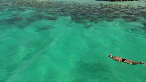 young woman is swimming and snorkling in the vibrant, colorful, clear and turquoise water right next to a coral reef