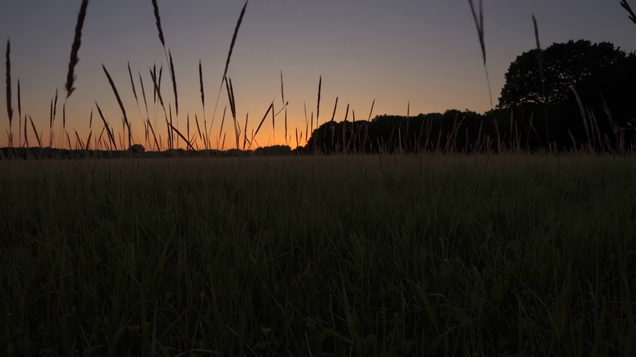 草原の上の夕暮れ