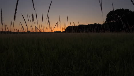 puesta de sol sobre un campo de hierba