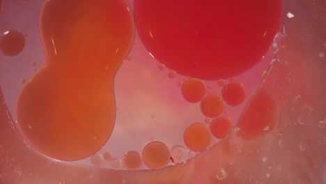 macro of orange and pink liquid jelly bubbles moving and merging textured background