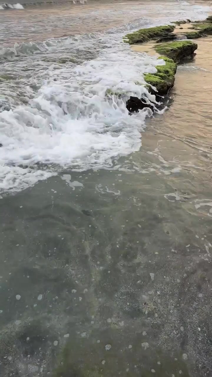 Onde oceaniche che si infrangono e scorrono su rocce muschiose