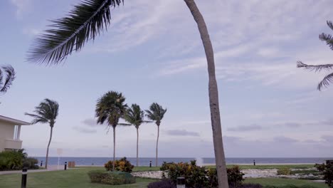 Palm-Trees-at-a-fancy-Mexican-Resort