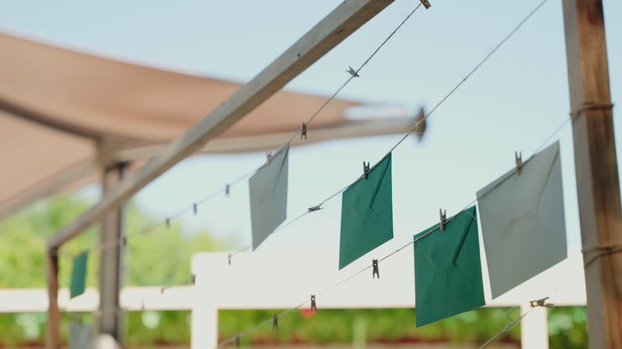 wedding envelopes hanging on string with clothespins in soft outdoor sunlight