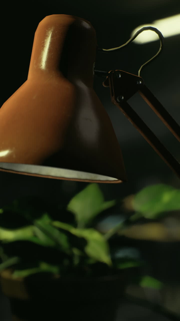 Desk lamp illuminating a plant in a dimly lit workspace at night