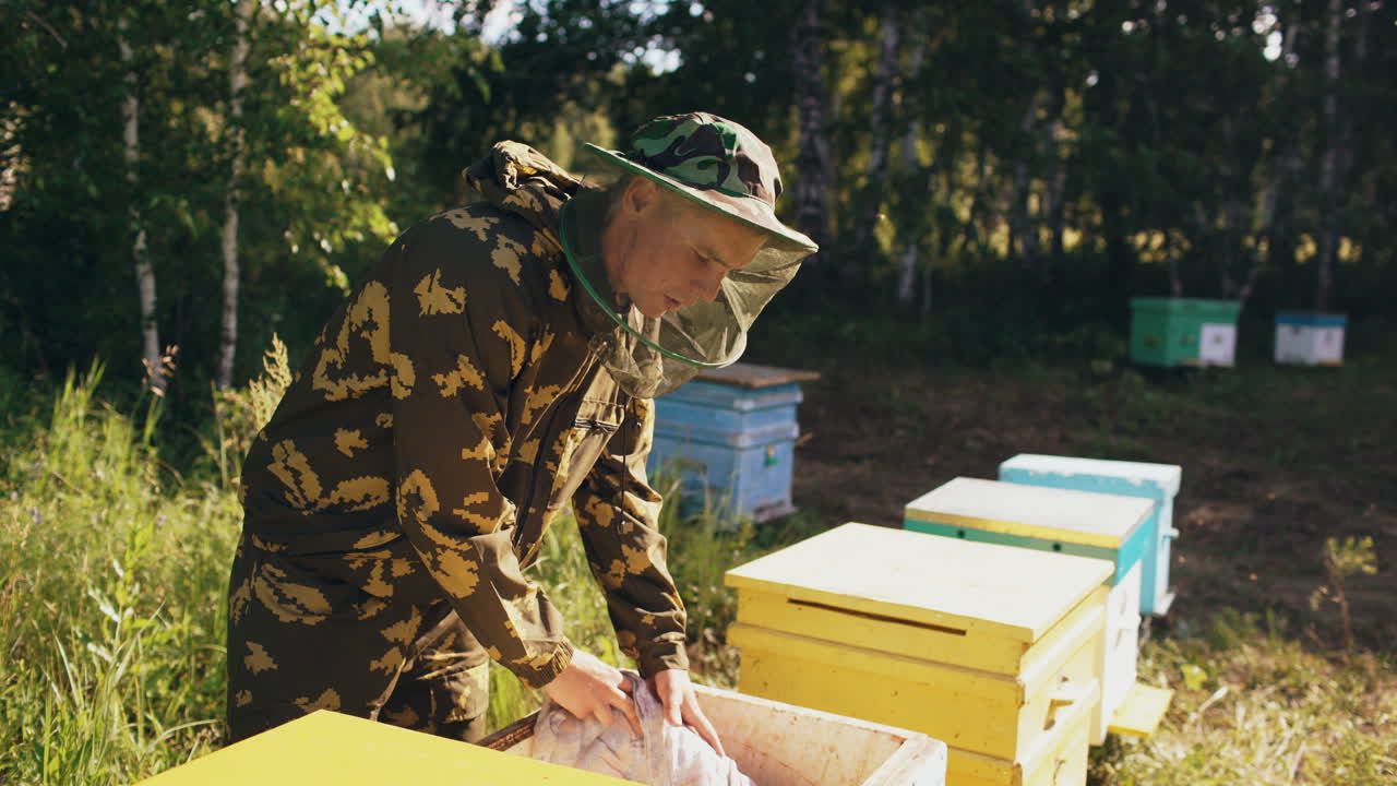 Beekeeper inspecting beehives
