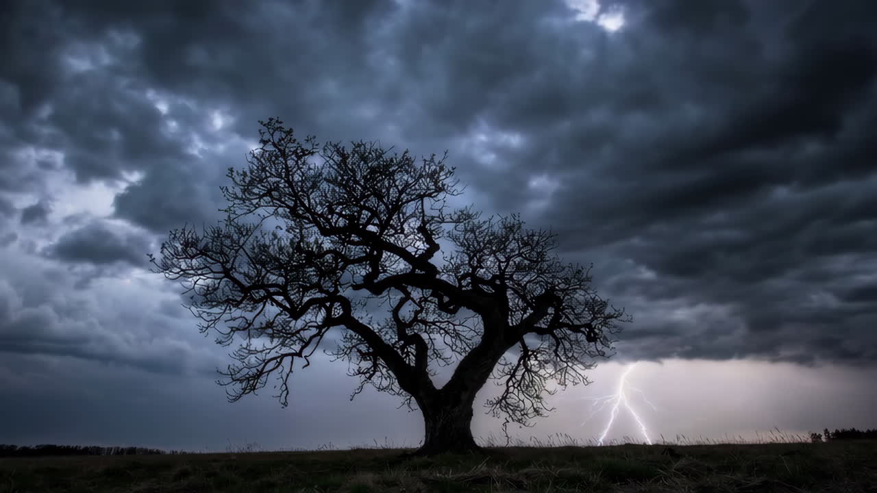 Stormy Sky with a Solitary Tree