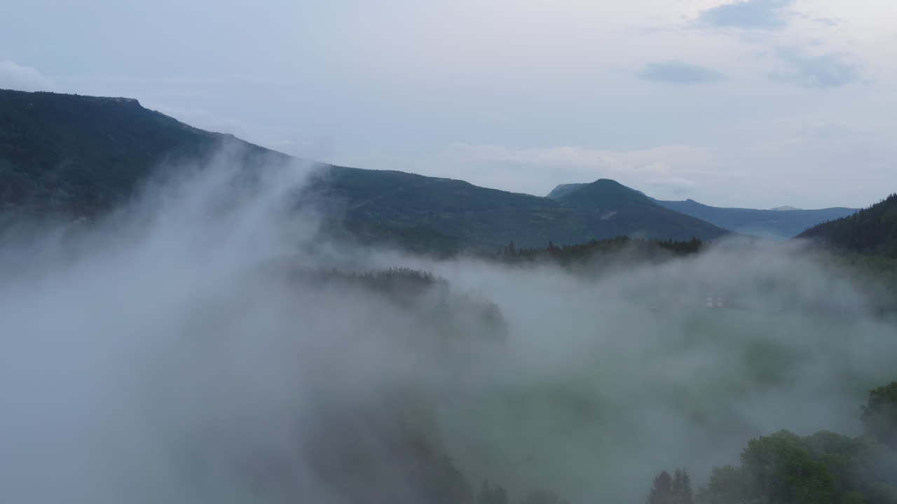 Flight over a foggy forest. The mist is hanging low over the landscape creating a dark mystical mood over the whole scene