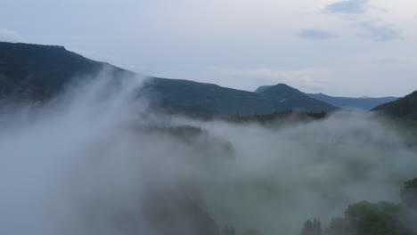 flight over a foggy forest. the mist is hanging low over the landscape creating a dark mystical mood over the whole scene