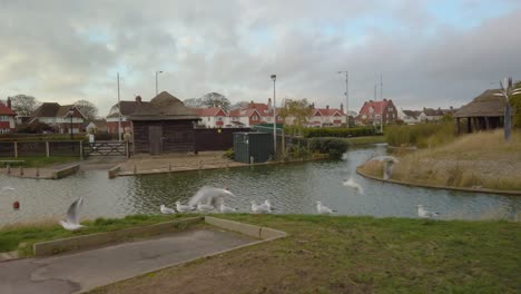 挪威格雷特·耶爾<unk>斯 (great yarmouth) 住宅區的一座湖邊公園的海<unk> - 手持追蹤射擊