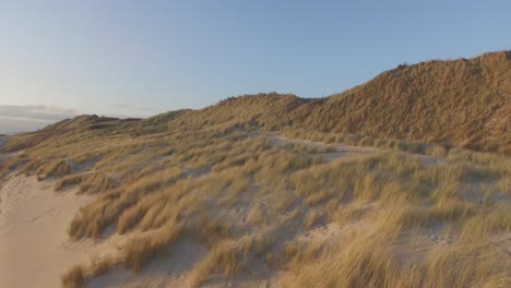 aerial: the beach between vlissingen and dishoek during sunset