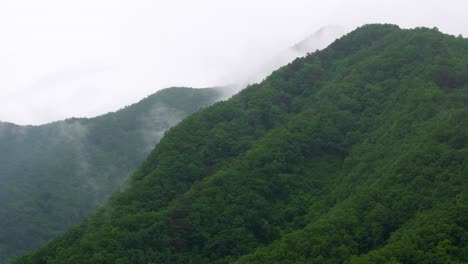 vapor rises and condenses in timelapse, over the green mountains