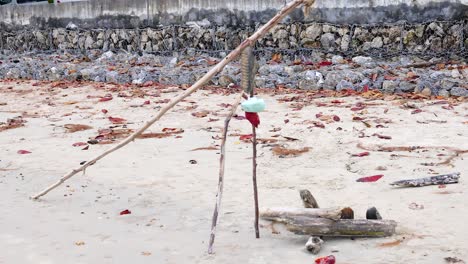 driftwood and debris on a sandy beach