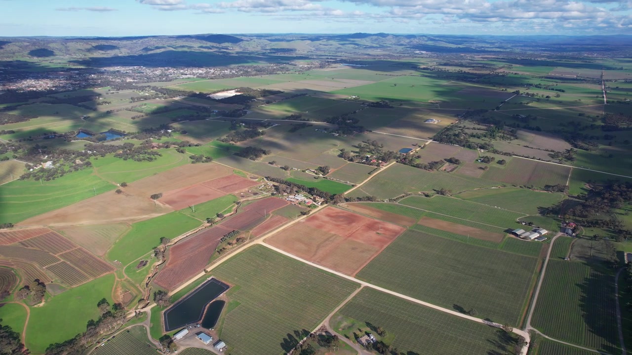 Store grønne marker, Barossa Valley, South Australia - Luftfoto med drone.