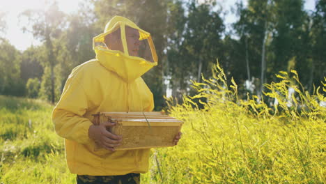beekeeper carrying honeycomb frames in a field