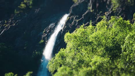 A-waterfall-cascades-down-through-the-thick-forest-of-Naeroy-fjord,-surrounded-by-lush-greenery