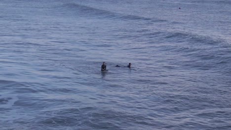 Surfer-Sitzen-Auf-Ihren-Brettern-Im-Meer-Und-Warten-Auf-Die-Nächsten-Wellen