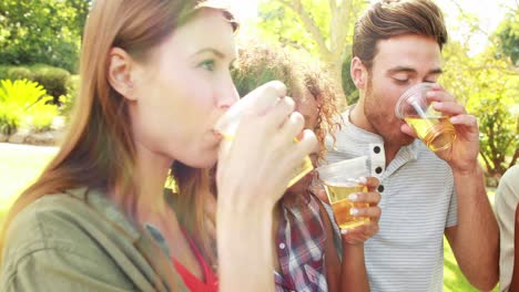 amigos brindando vasos de cerveza en el parque
