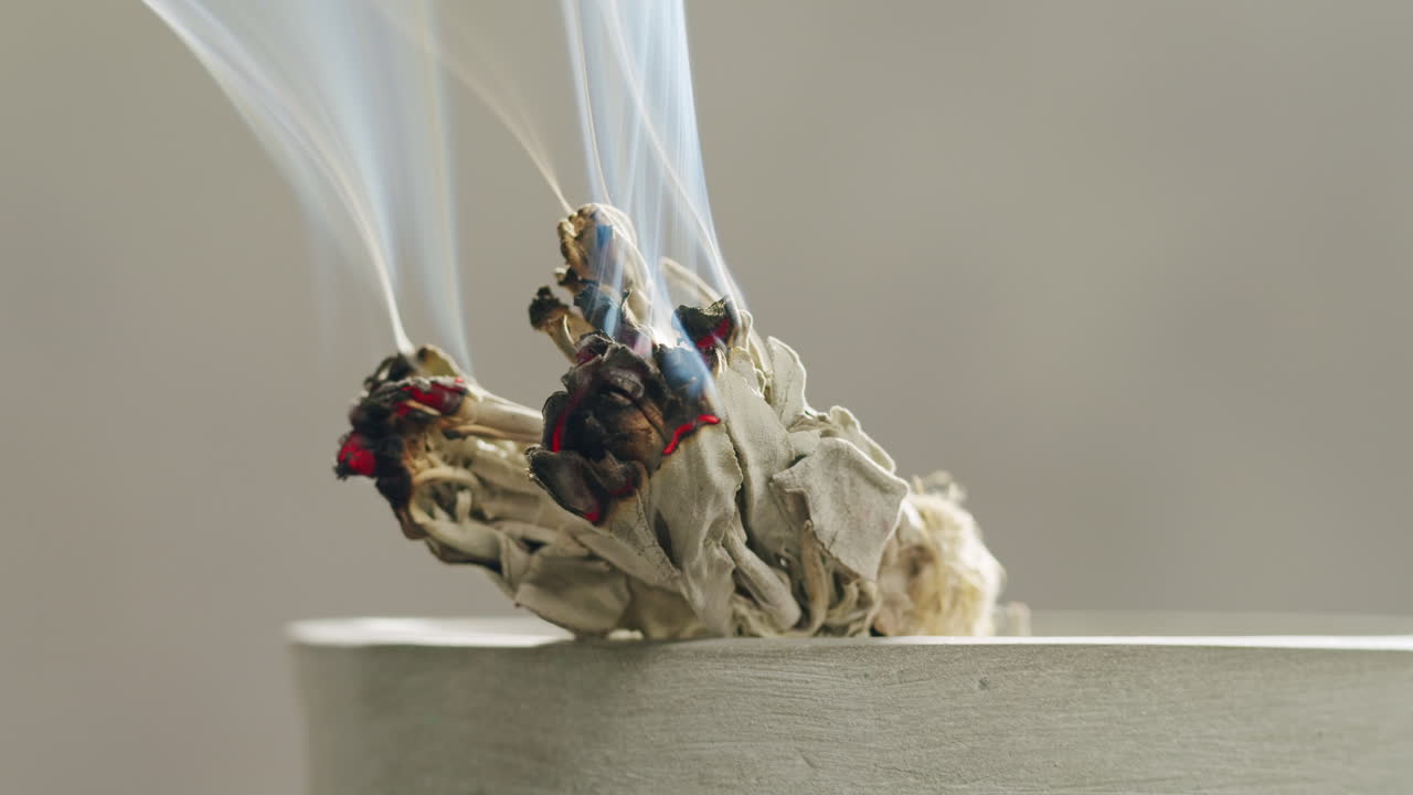 Person holding Palo Santo wood stick in hand, aromatic Palo Santo burning on black background, smoke spreading around, slow motion video clip, high quality 4k close up footage. High quality 4k footage