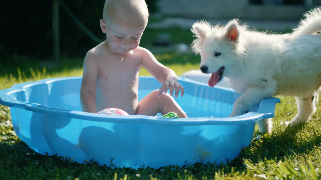 집에서 목욕을 하고 있는 아기 소년은 마당에서 개와 함께 놀고 있다. 어린아이가 목욕하는 동안 작은 개는 수영장에서 장난감을 가져간다.