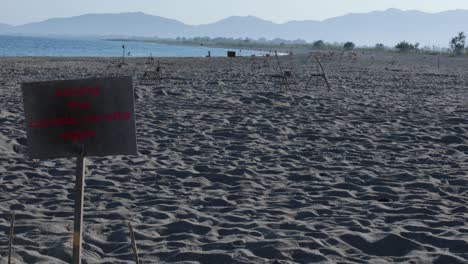 caretta caretta eggs beach in turkey