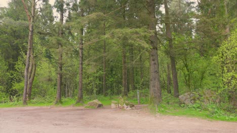 fotografía de una zona de campamento vacía rodeada de densos árboles forestales en un día nublado