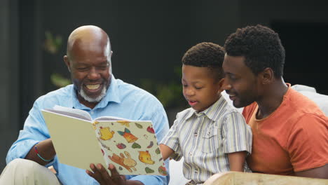 Lächelnde-Männliche-Mehrgenerationenfamilie,-Die-Gemeinsam-Im-Garten-Ein-Buch-Liest