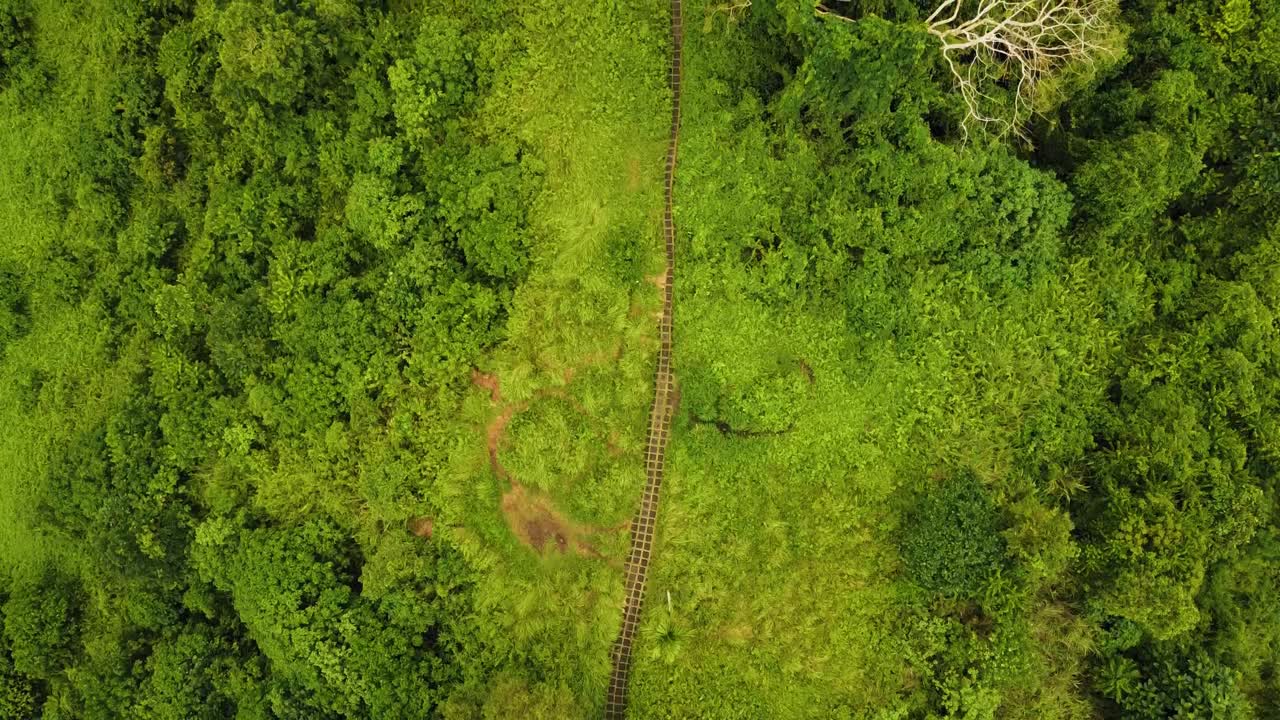 bellas imágenes cinematográficas de ubud, bali drone con exótica terraza de arroz, pequeñas granjas, caminata campuhan ridge y plantaciones agroforestales