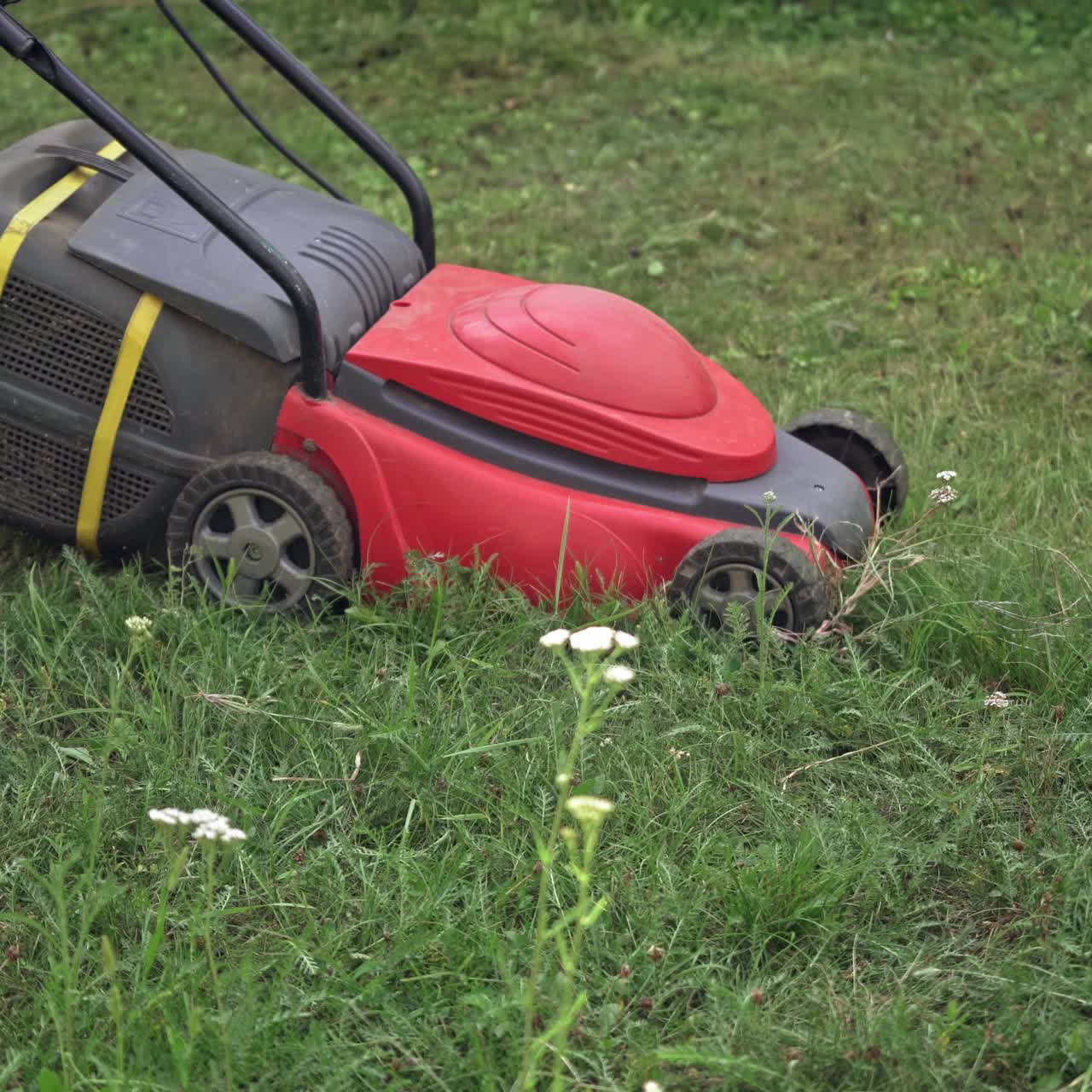 lawn mower at work on a green meadow at summertime