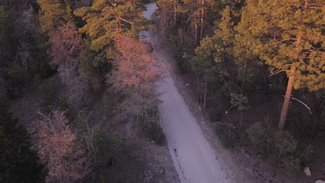 Exiting-Delamar-woods-California-USA-in-the-morning-aerial