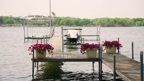 dock on lakeshore with flower pots and jet ski lift