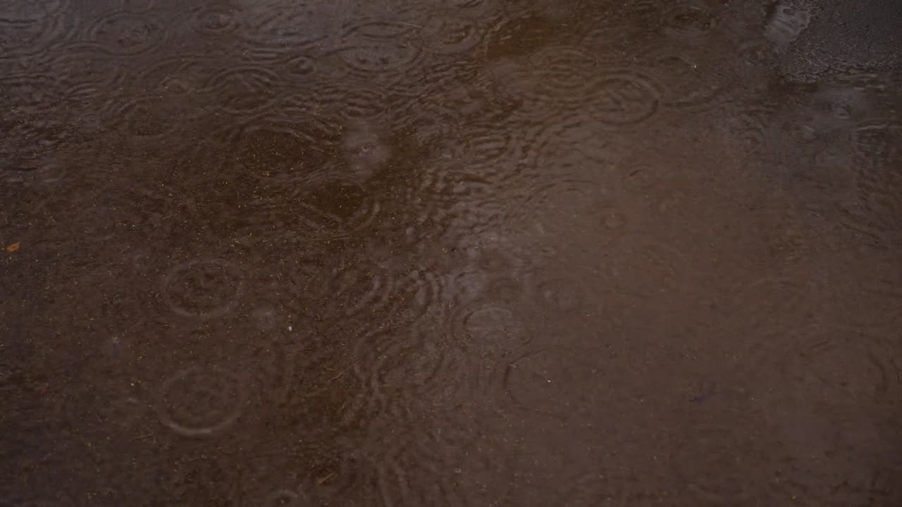 모래 자갈에 빗방울