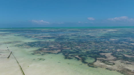 vista aérea del océano y barcos de pesca en una playa de la isla de zanzíbar