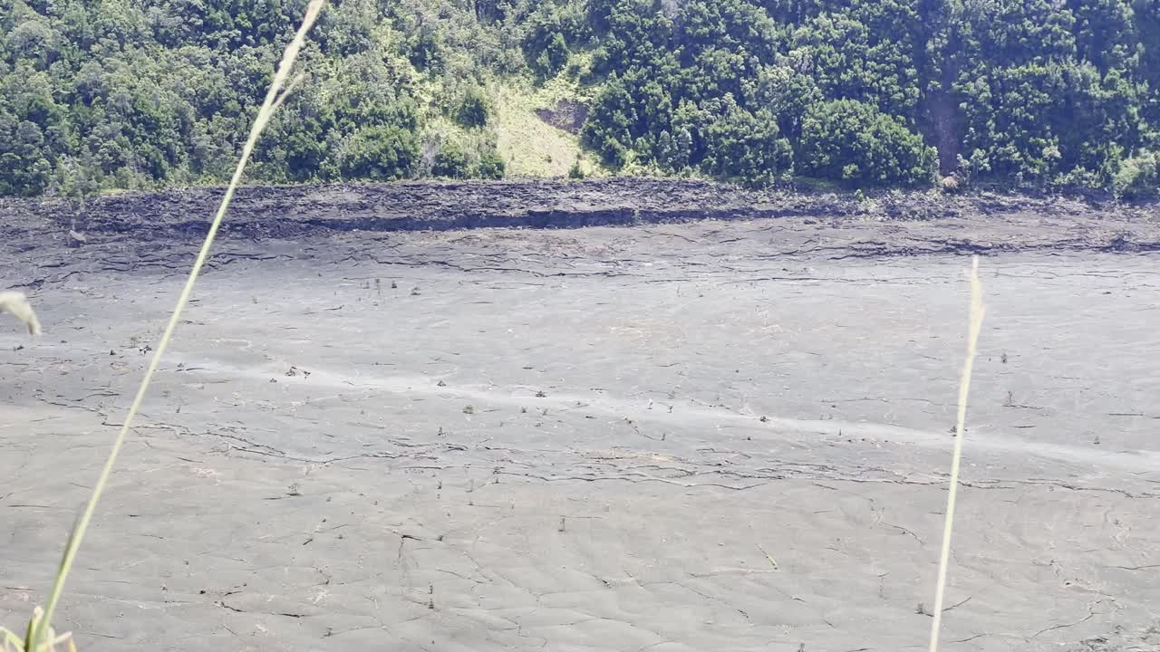 Cinematic long lens panning shot of the Kilauea Iki dry lava lake bed from an overlook on the hiking trail in Hawai'i Volcanoes National Park