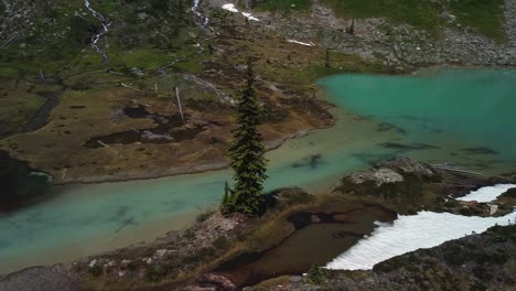 Umkreisender-Baum-Neben-Dem-Türkisfarbenen,-Kristallklaren-Bach,-Luftaufnahme,-Westliche-Kootenays