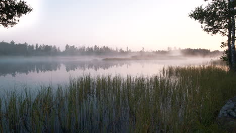 magical mist over lake early morning rural forest scene