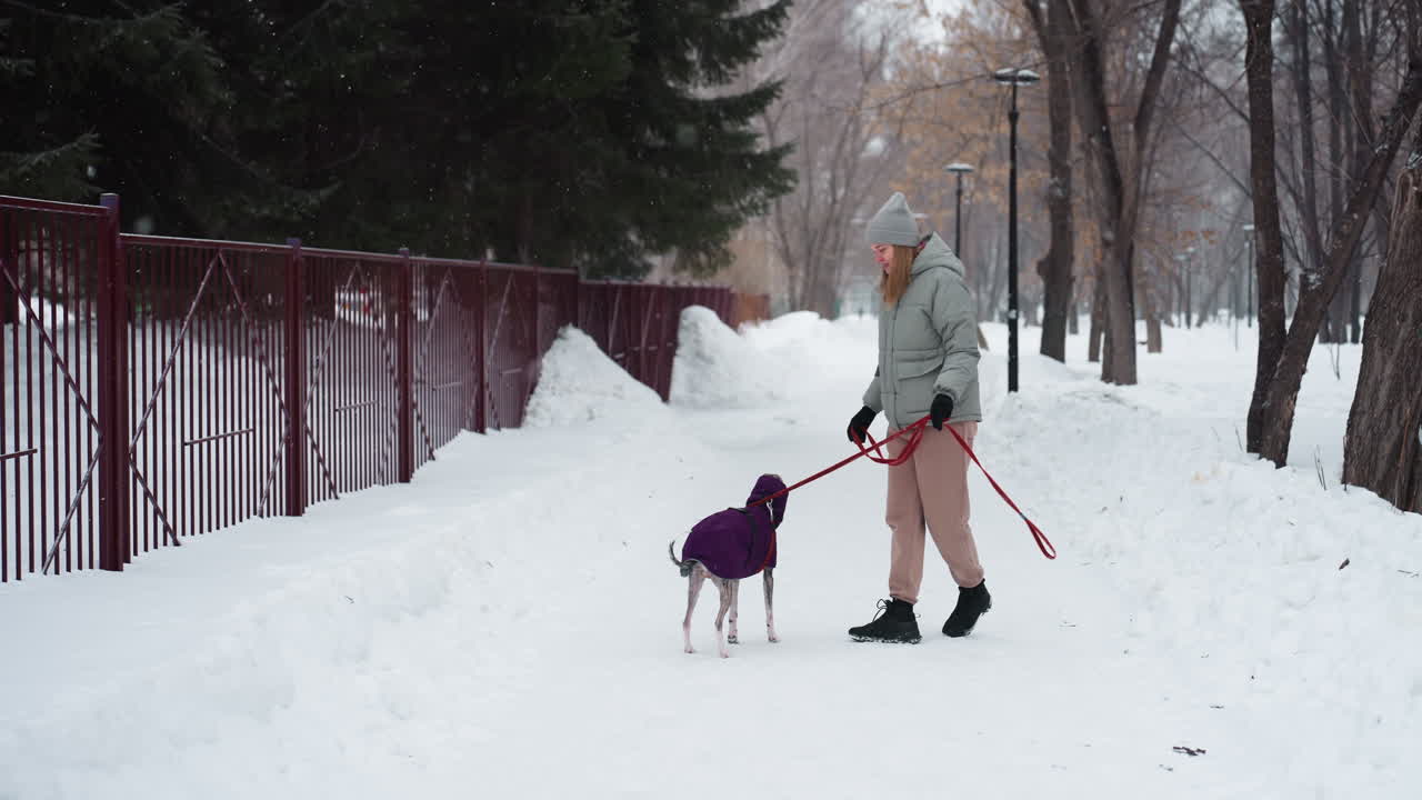 Dog owner walking with dog in purple coat along snowy park path during winter day, holding red leash, both seen from behind, surrounded by snow-covered trees, iron fence, and cold outdoor atmosphere