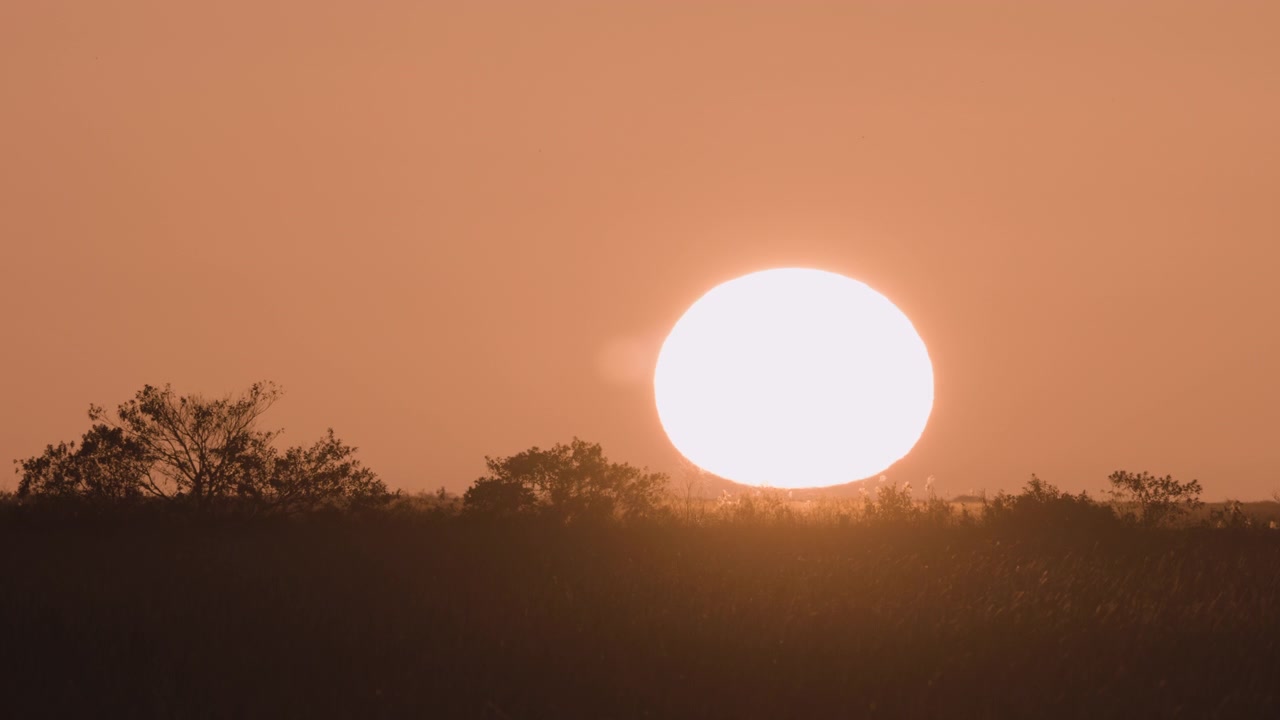 Sidste minut af solnedgang over Everglades savgræslandskab